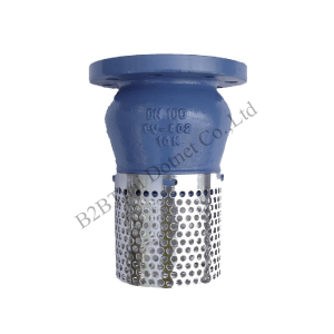 Foot valve 10 นิ้ว Kistler FV 804