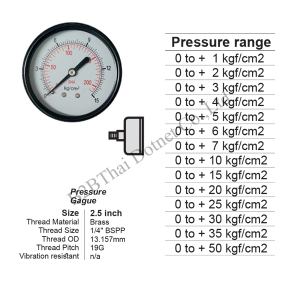 Pressure-Gauge-2.5-นิ้ว-ออกหลัง-กลาง-เหล็ก