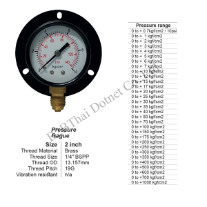 Pressure Gauge 2 มีปีก