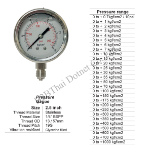 Pressure Gauge 2.5