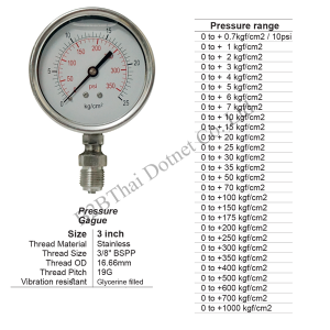 Pressure Gauge 3